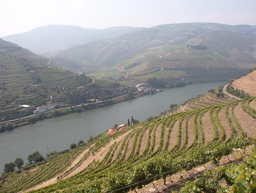 douro_delarosaviewbig-772082.jpg