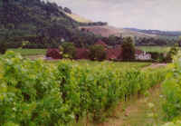 Denbies3.jpg (62783 bytes)