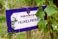 Denbies4.jpg (67223 bytes)