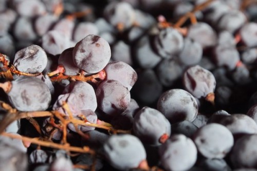 Dissertation search picture