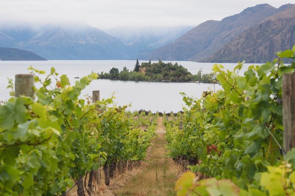 rippon wine