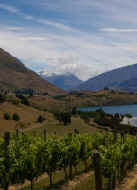 rippon2.JPG (74668 bytes)