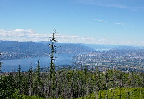 View from Chute Lake Road