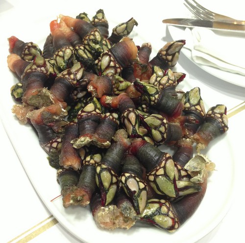 percebes goose barnacles