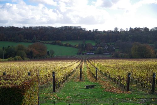 english sparkling wine 