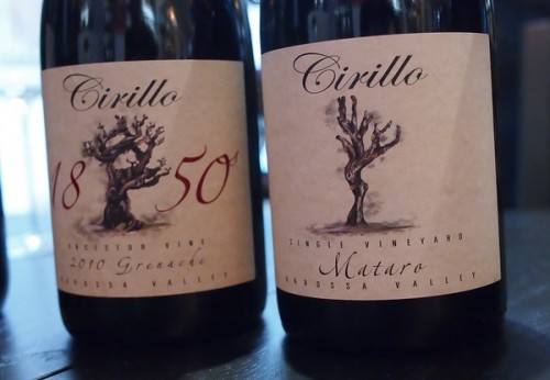 cirillo estate barossa