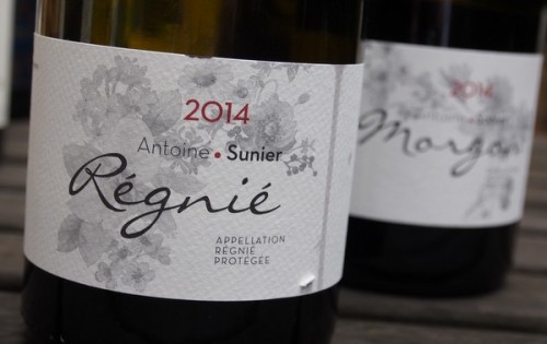 antione sunier beaujolais