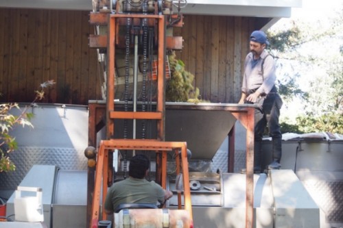 OLYMPUS DIGITAL CAMERA