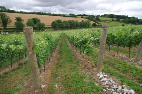 english sparkling wine