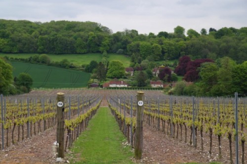 englishsparklingwine