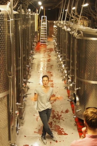 Sumi Gerbauer, Villa Wolf