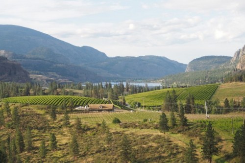 Liquidity, Okanagan Falls