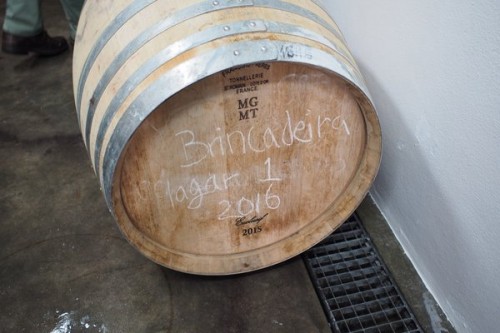 A white wine started as a Port (foot treading with fermentation on skins) and then taken to barrel to ferment to dryness.