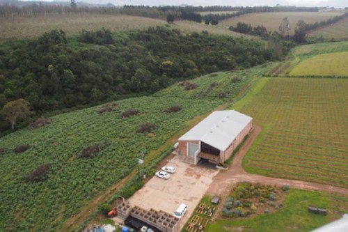 Elgin Ridge winery from the air