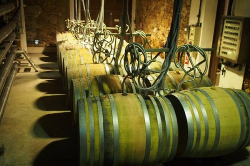Barrels with a cooling system for fermenting rosé in barrel at lower temperatures