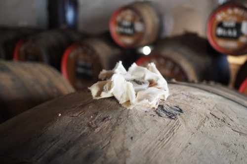 Madeira ageing in the lofts at Blandy's wine lodge