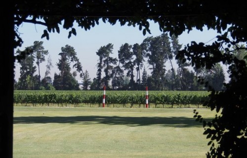 The polo goals remain