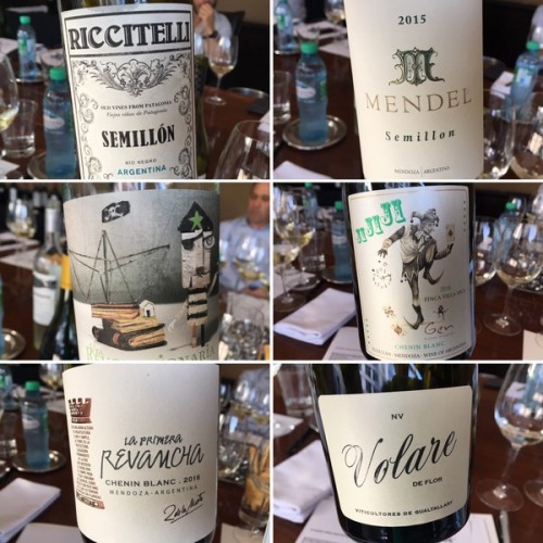 Tasting some interesting white wines from Argentina Jamie Goode's