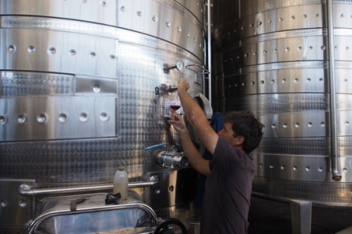 Tasting Langrug Pinot 2017