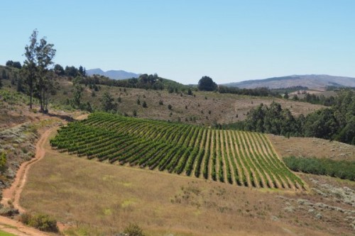The view from Almenkerk