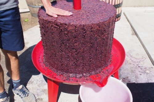 The cake of skins that remains