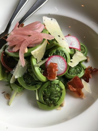 Fiddleheads, Obladee