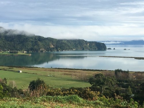 The view from Little Greenie