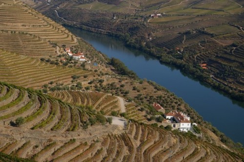 Quinta da Romaneira
