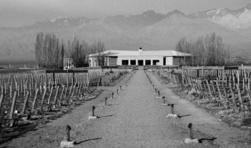 argentina wine awards