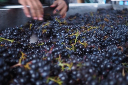 The vibrating sorting table