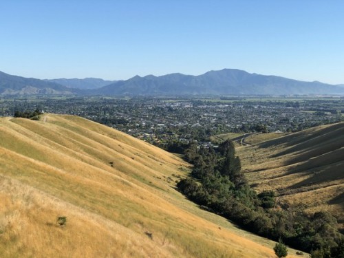 Blenheim viewed from the Wither Hills