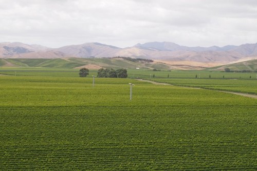 Dog Point Vineyard in Marlborough's Southern Valleys