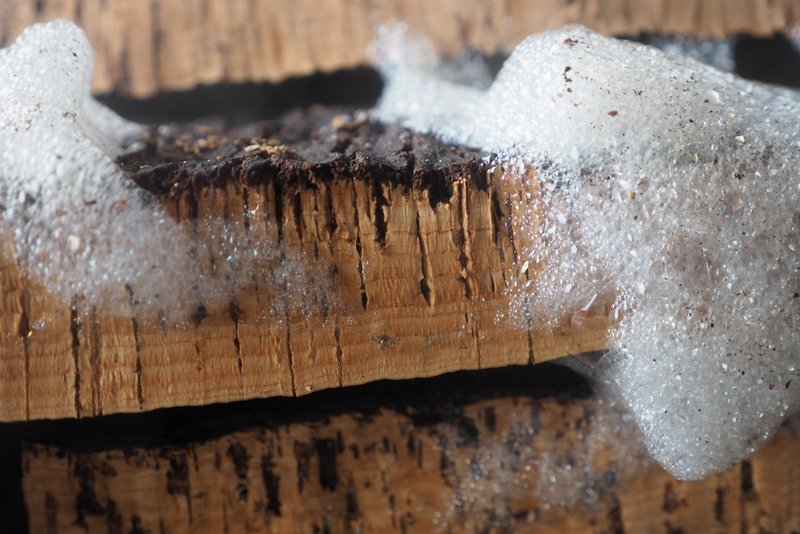 The cork harvest in Portugal Jamie Goode's wine blog