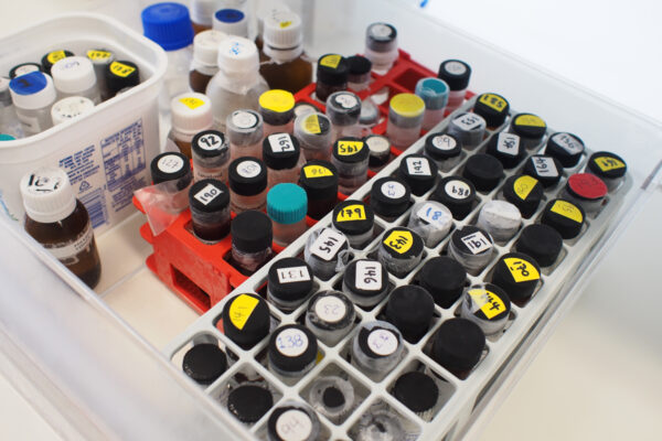 Is wine good for you?