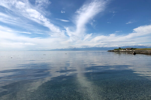 Seeing the big picture: don’t let the data deceive you