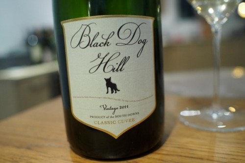 black dog hill