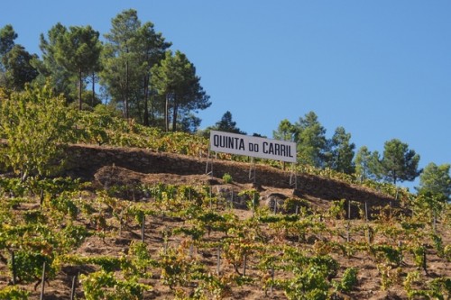 Quinta do Carril