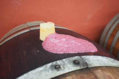 Charme fermenting in barrel