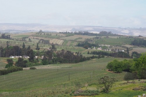 The view from the winery