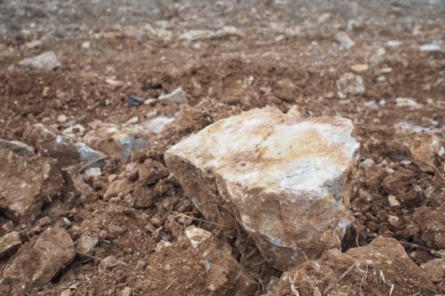 Limestone/clay soils