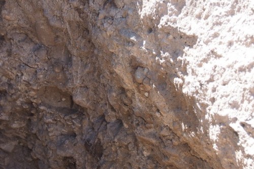 Alluvial soils