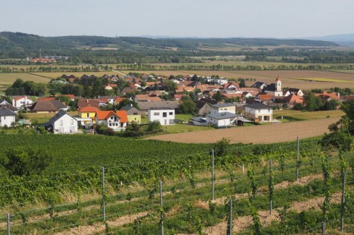 Looking over the vineyards in Traisental