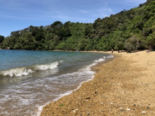 Beach life: Governor's Bay in the Sounds