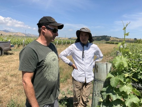 With Mark Krasnow and Takaki Okada (Folium) discussing dry growing  vines and irrigation
